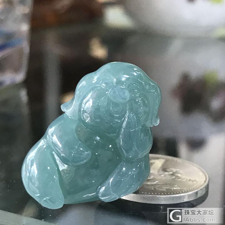 翡翠果冻小萌猪蓝水老种._翡翠