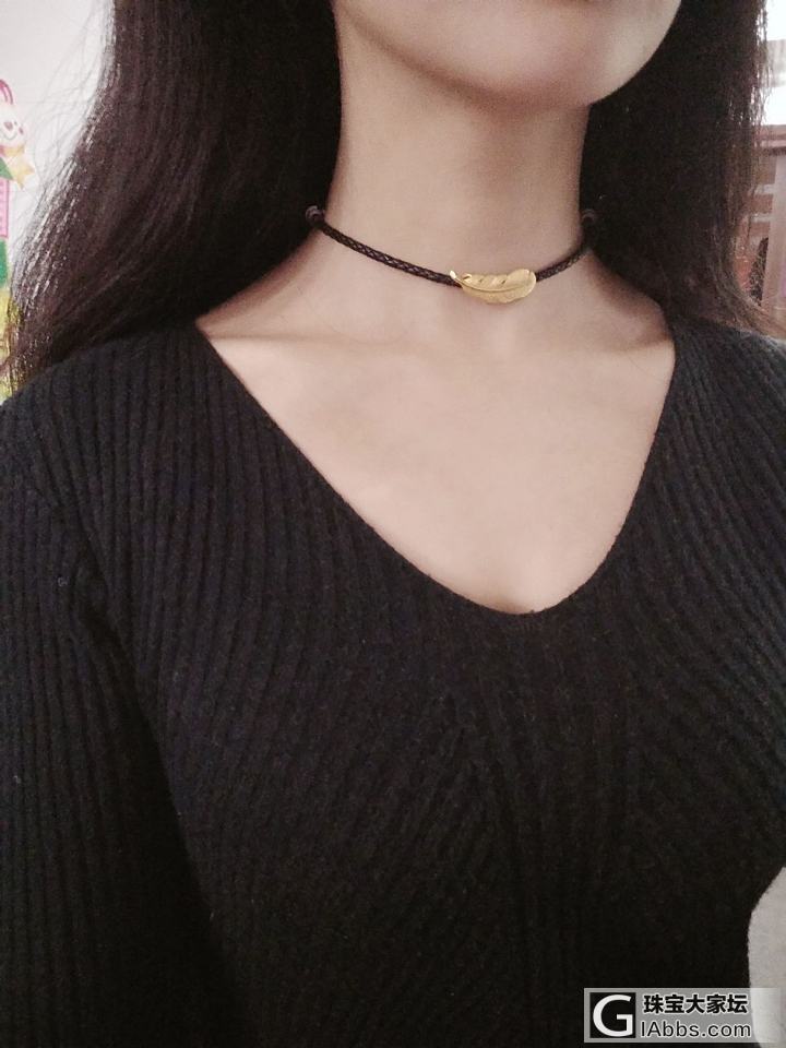 生生羽毛_金