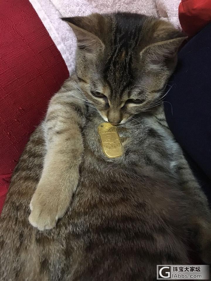 大家新年好！_搭配金