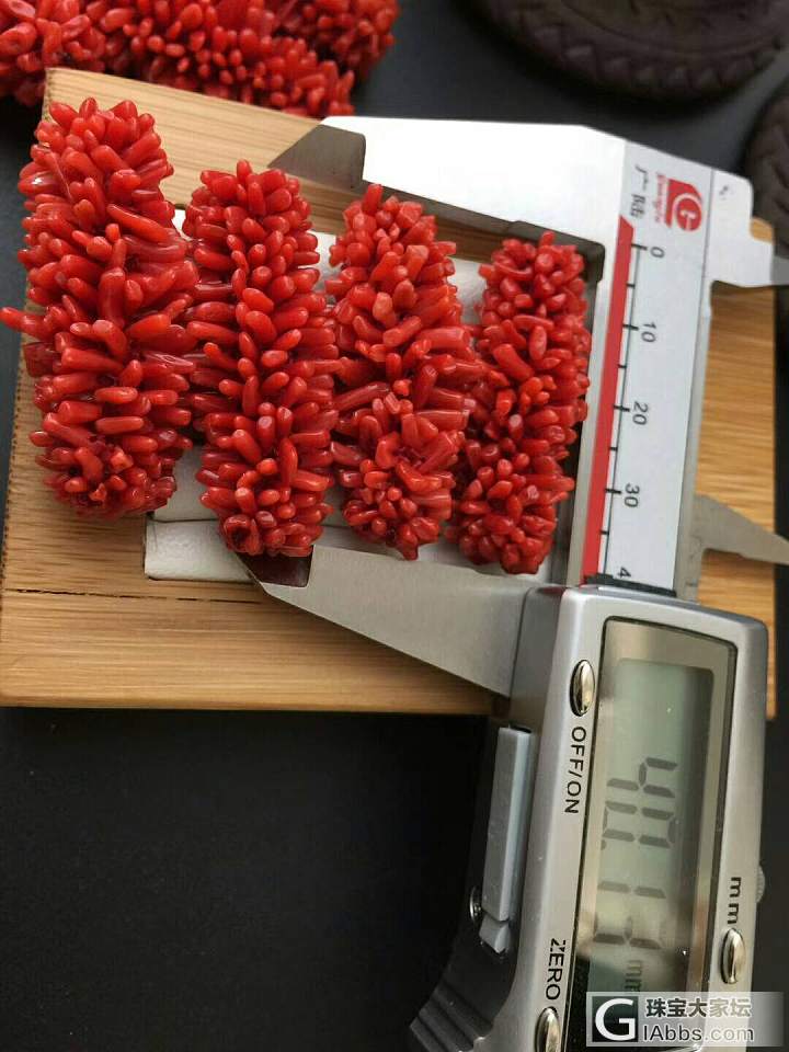 红珊瑚毛毛虫_珊瑚