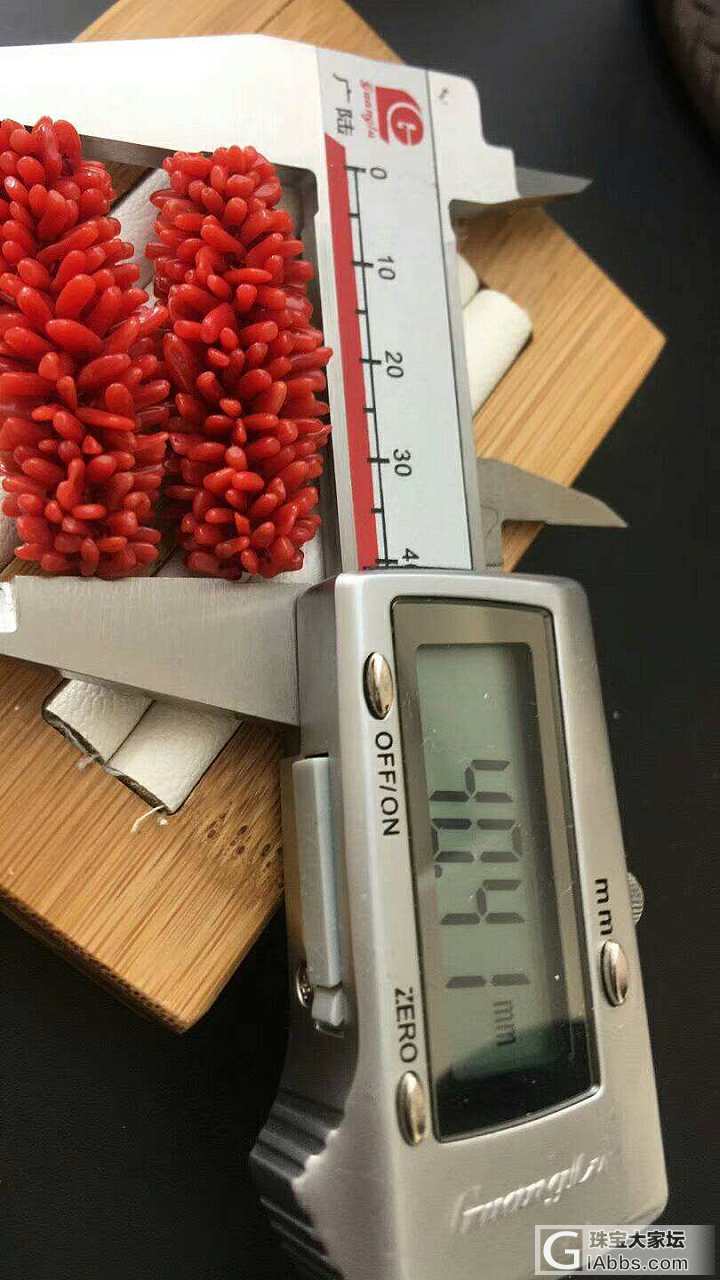 红珊瑚毛毛虫_珊瑚