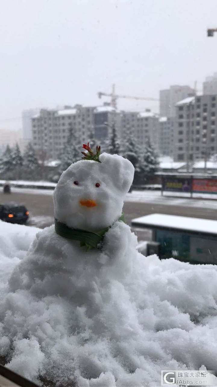 大雪如期而至_闲聊