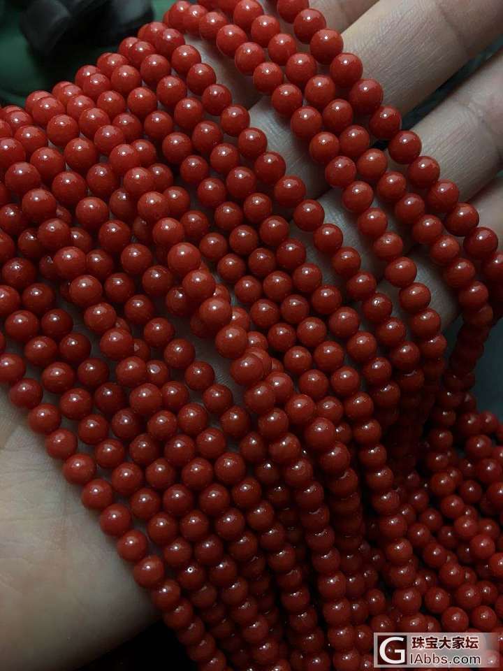 红珊瑚手链_珠串珊瑚