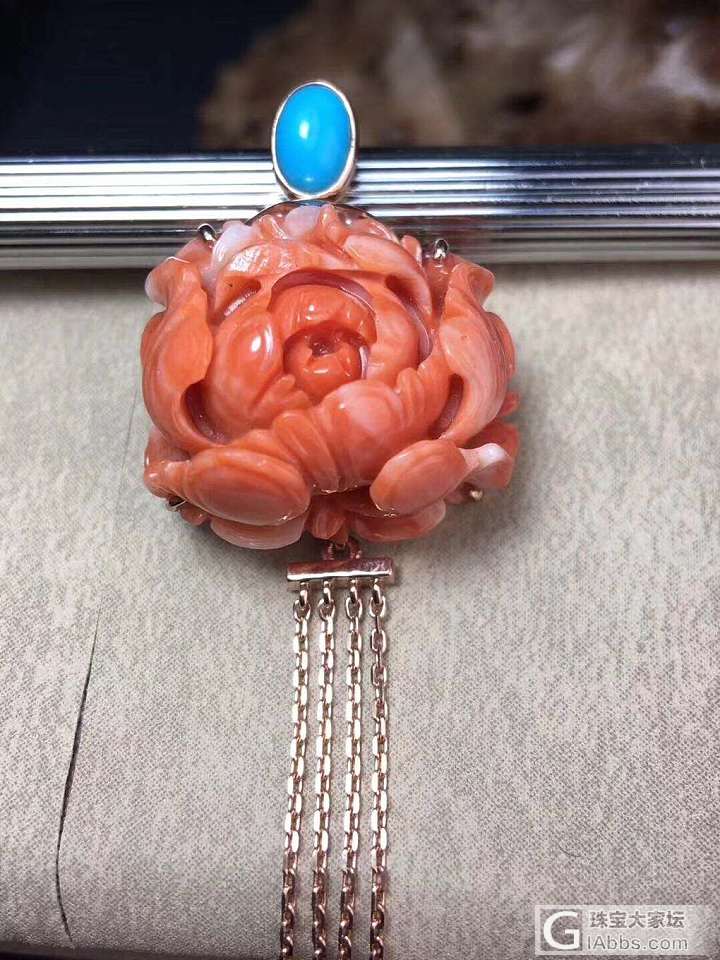 红珊瑚_珊瑚