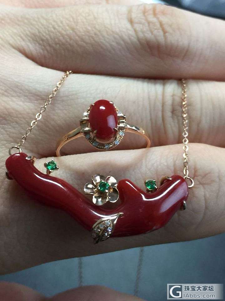 红珊瑚_珊瑚
