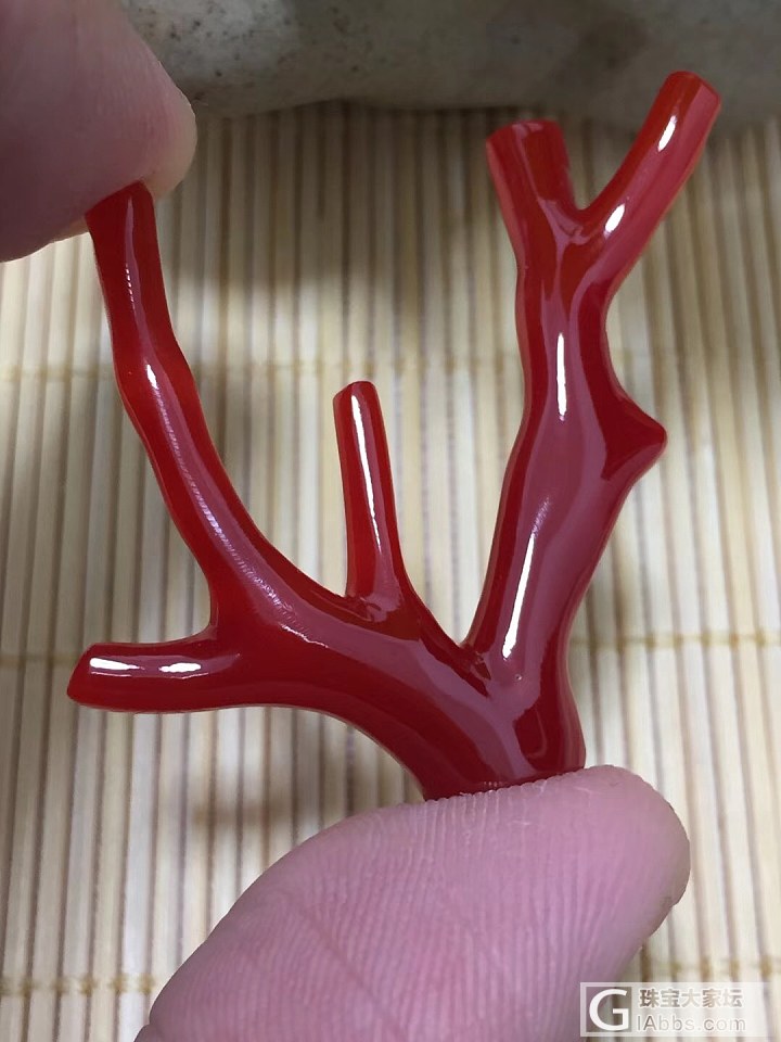 日本阿卡牛血珊瑚枝，4.27克，玻璃质感。 特价599_配品珊瑚