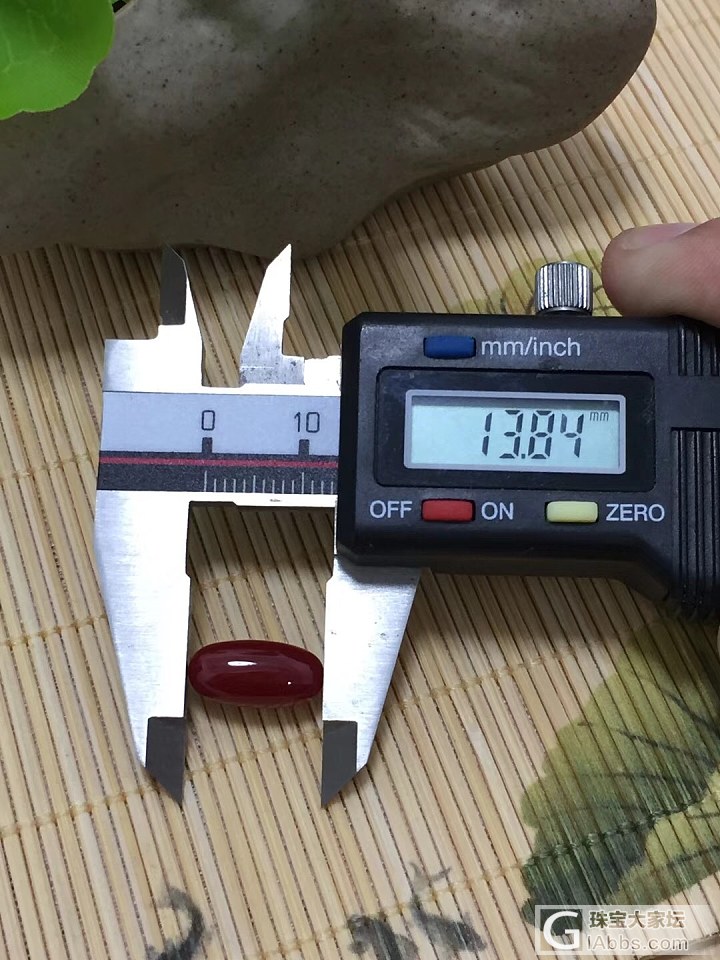 日本阿卡黑牛血珊瑚戒面，0.81克，玻璃质感_蛋面珊瑚