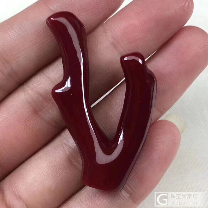 新人入坛多多照顾！_珊瑚