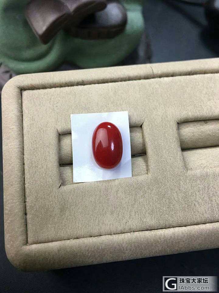 阿卡赤血戒面_蛋面珊瑚