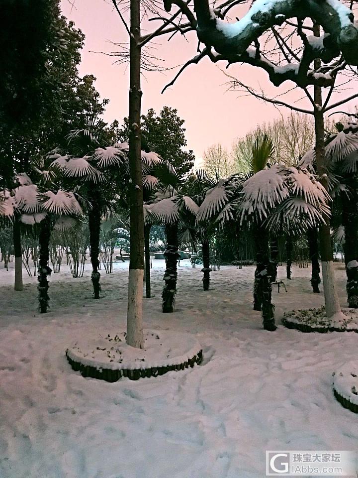 2018的第二场雪，比第一场雪来得大一些_摄影闲聊