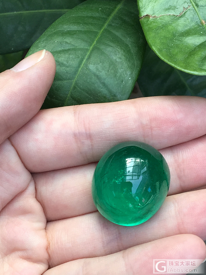 年底了，来颗哥伦比亚祖母绿鸽子蛋_蛋面祖母绿