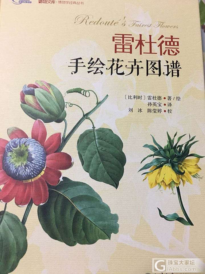 雷杜德的手绘花卉图谱_书画