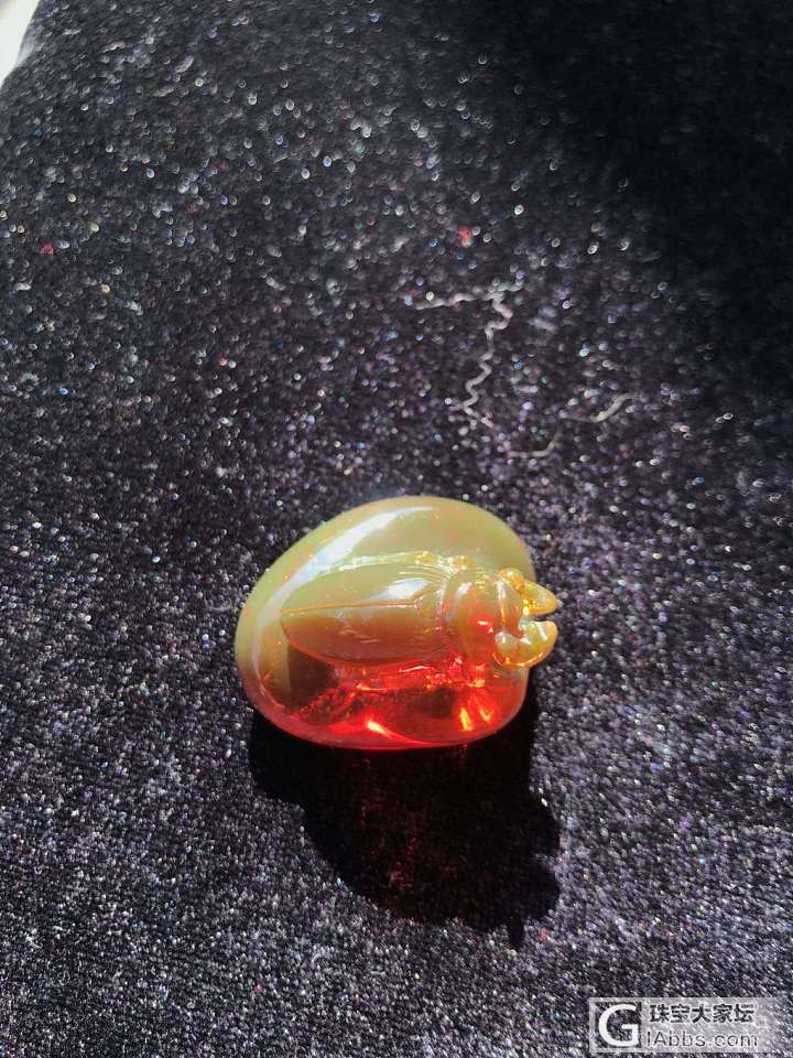 有没有很萌😄😄_琥珀蜜蜡
