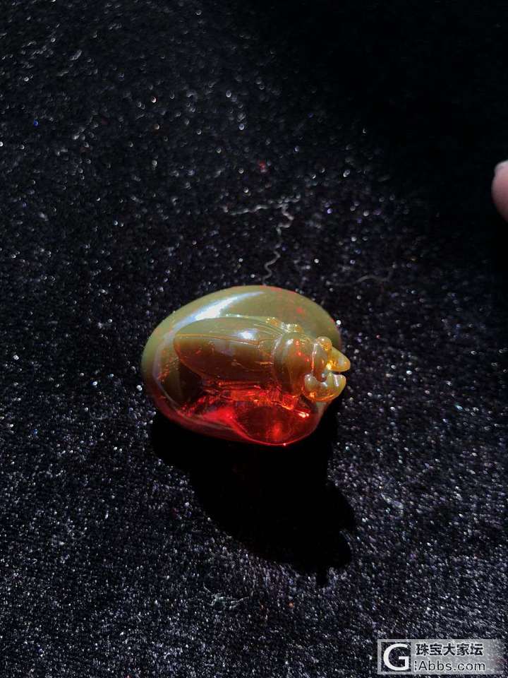 有没有很萌😄😄_琥珀蜜蜡