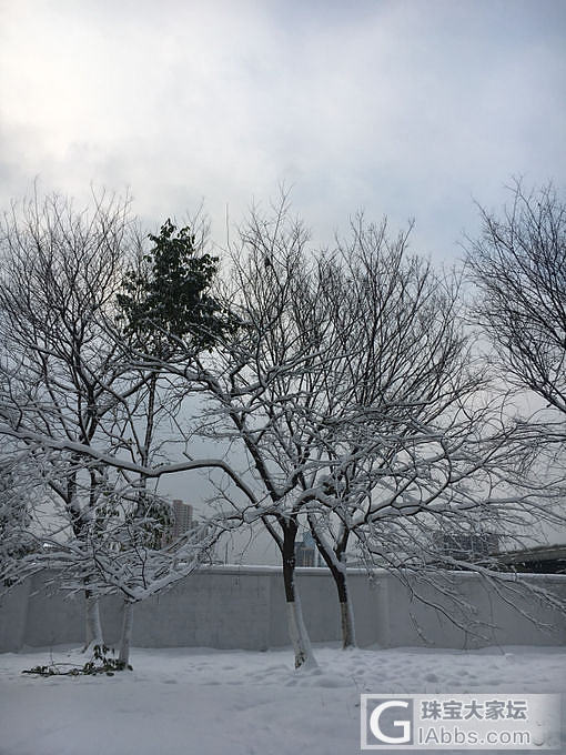 水墨江南 百鸟戏枝头_闲聊