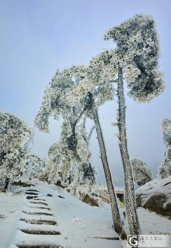 安徽雪景，每一张都适合做屏保！多图慎入。_摄影