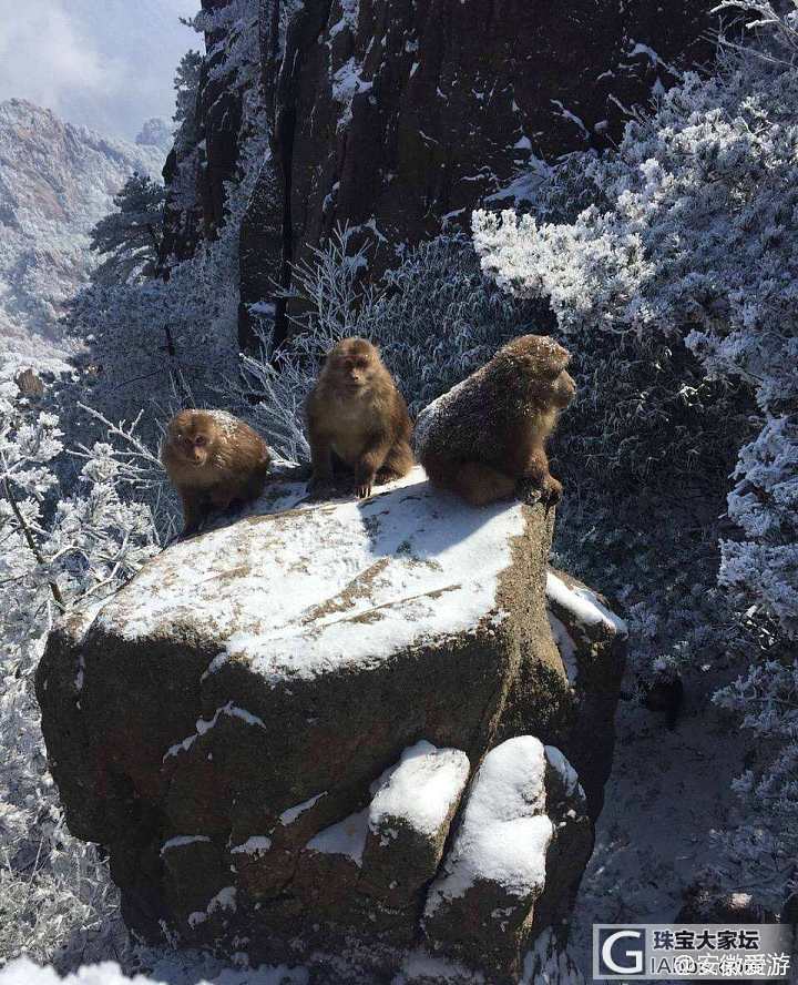 安徽雪景，每一张都适合做屏保！多图慎入。_摄影