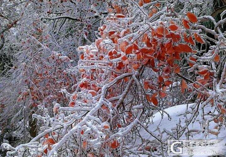 安徽雪景，每一张都适合做屏保！多图慎入。_摄影