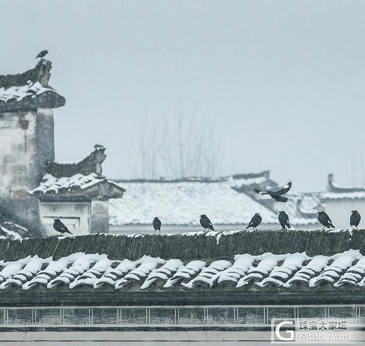 安徽雪景，每一张都适合做屏保！多图慎入。_摄影