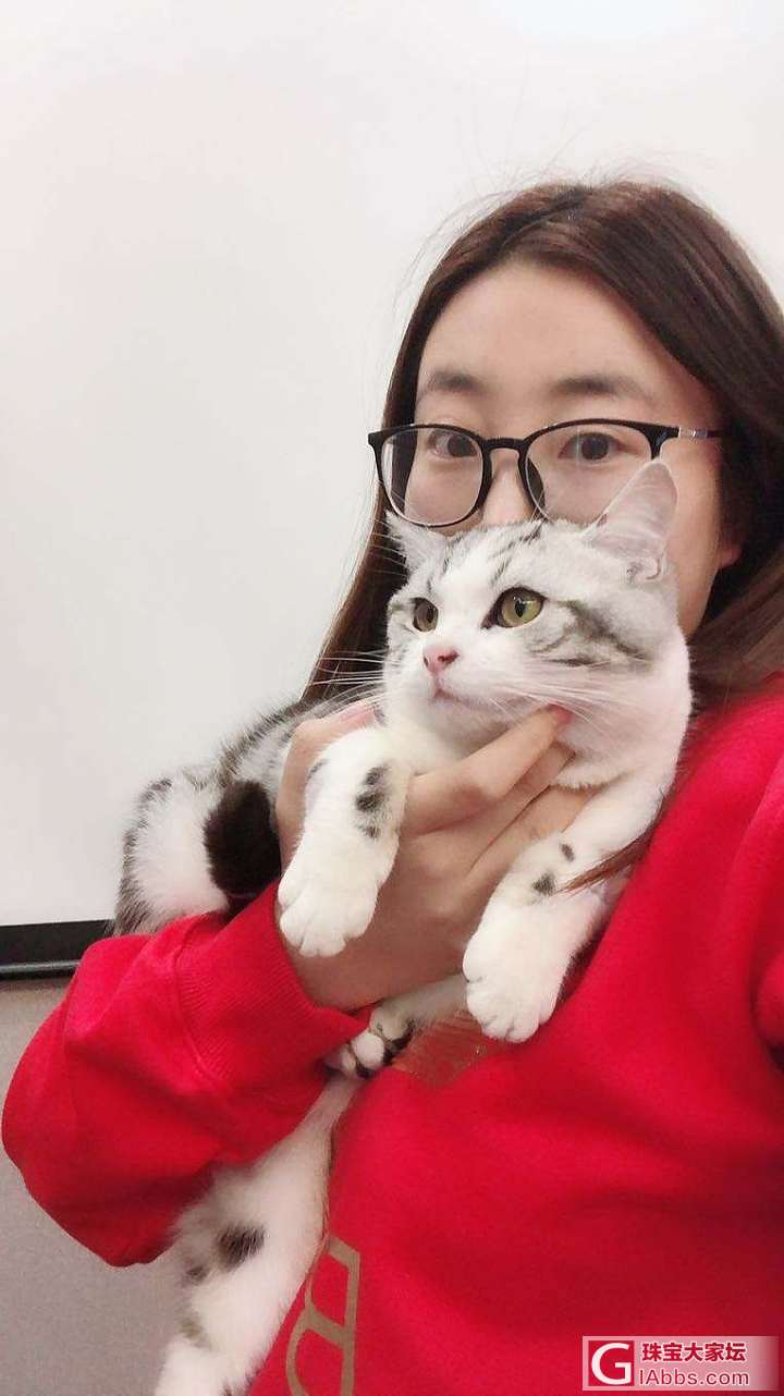 难得跟两啾合照_猫