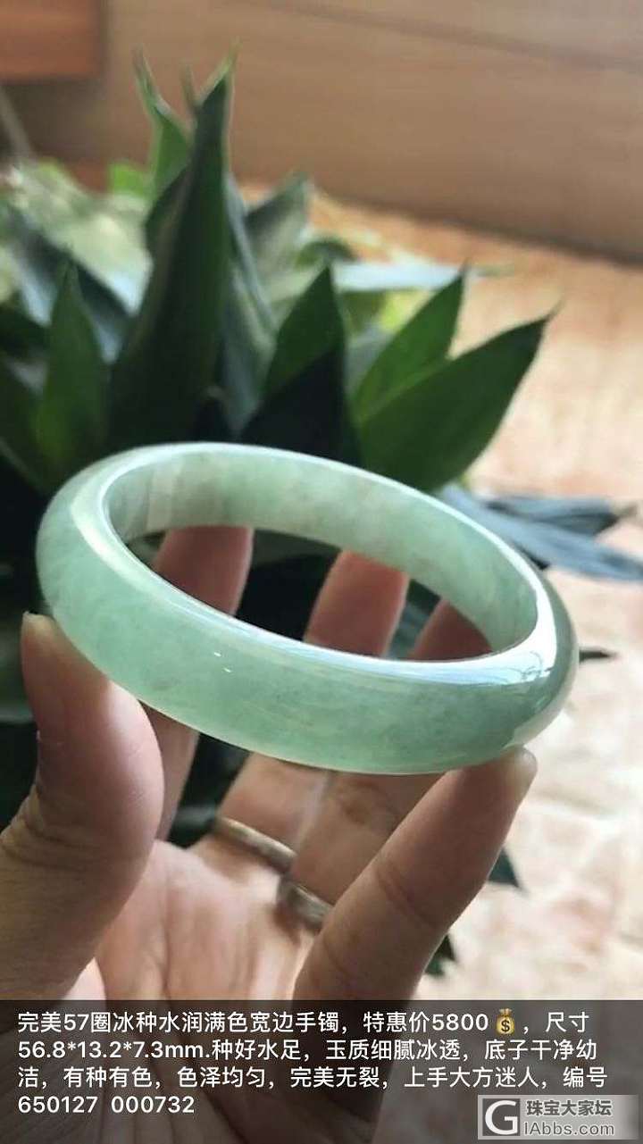 天然翡翠精品手镯_翡翠手镯