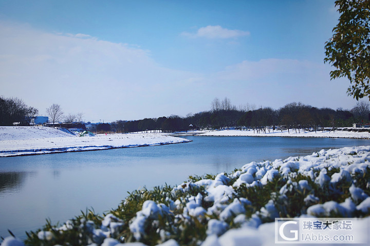 好多人发雪景，我也发个自己拍的南京的雪景哈，雪太大，只能在家门口附近拍拍啦_南京摄影闲聊