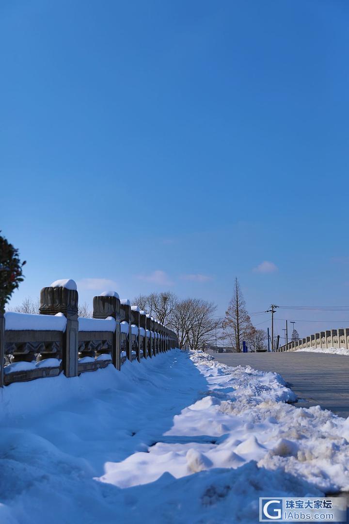 好多人发雪景，我也发个自己拍的南京的雪景哈，雪太大，只能在家门口附近拍拍啦_南京摄影闲聊