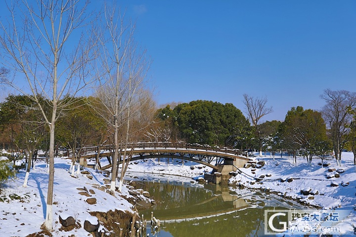 好多人发雪景，我也发个自己拍的南京的雪景哈，雪太大，只能在家门口附近拍拍啦_南京摄影闲聊