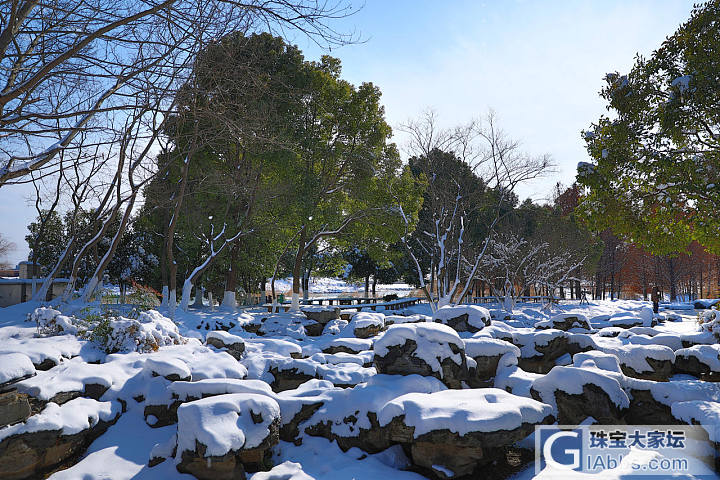 好多人发雪景，我也发个自己拍的南京的雪景哈，雪太大，只能在家门口附近拍拍啦_南京摄影闲聊