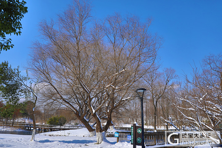 好多人发雪景，我也发个自己拍的南京的雪景哈，雪太大，只能在家门口附近拍拍啦_南京摄影闲聊