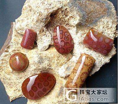 珊瑚玉太美了。。_珊瑚玉