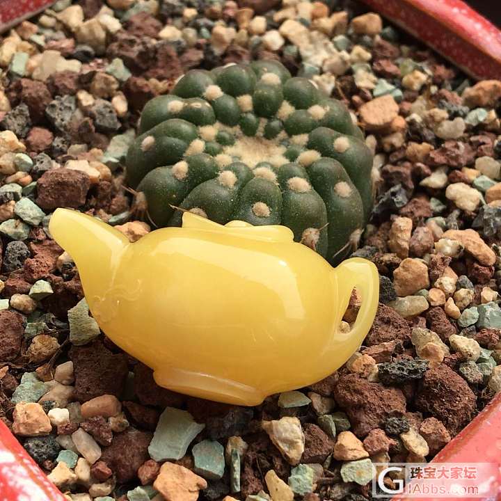 做了些好玩的东西_打磨蜜蜡