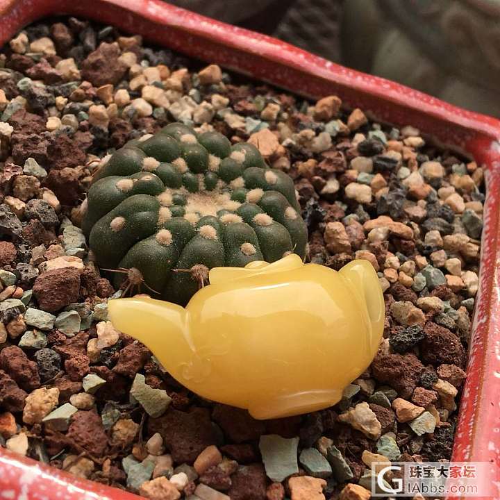 做了些好玩的东西_打磨蜜蜡