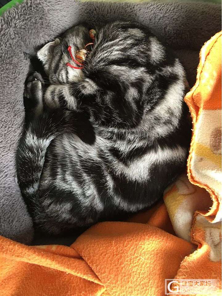 颈椎疼痛难忍怎么办