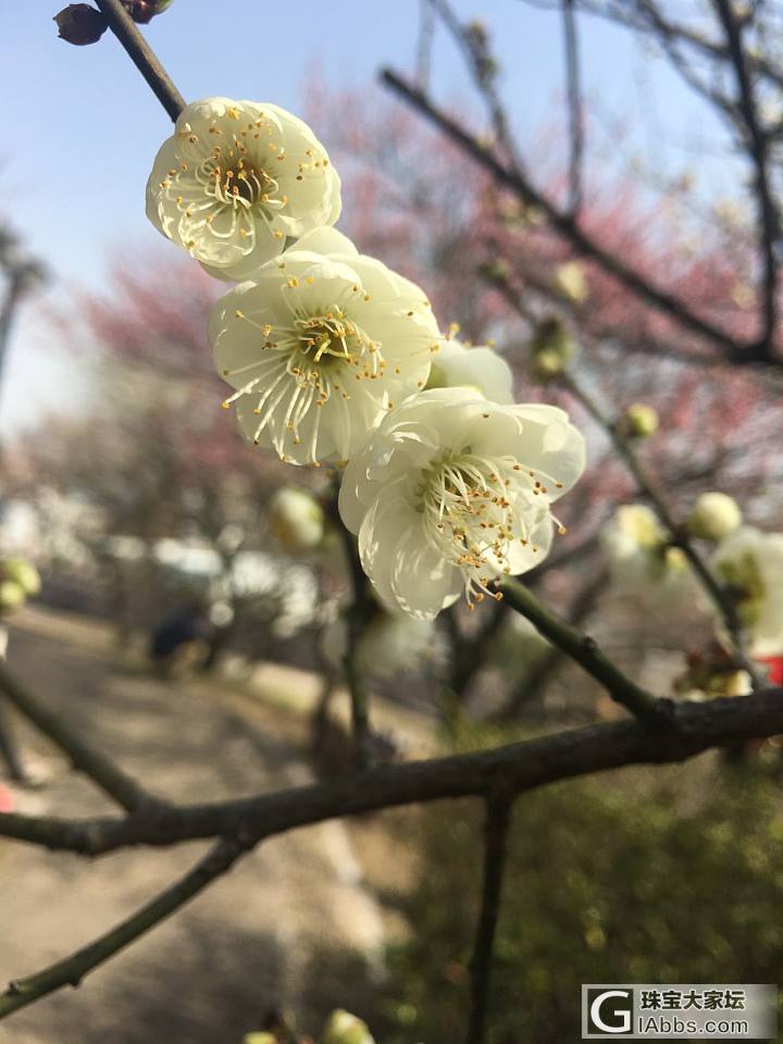 天气好好，_花