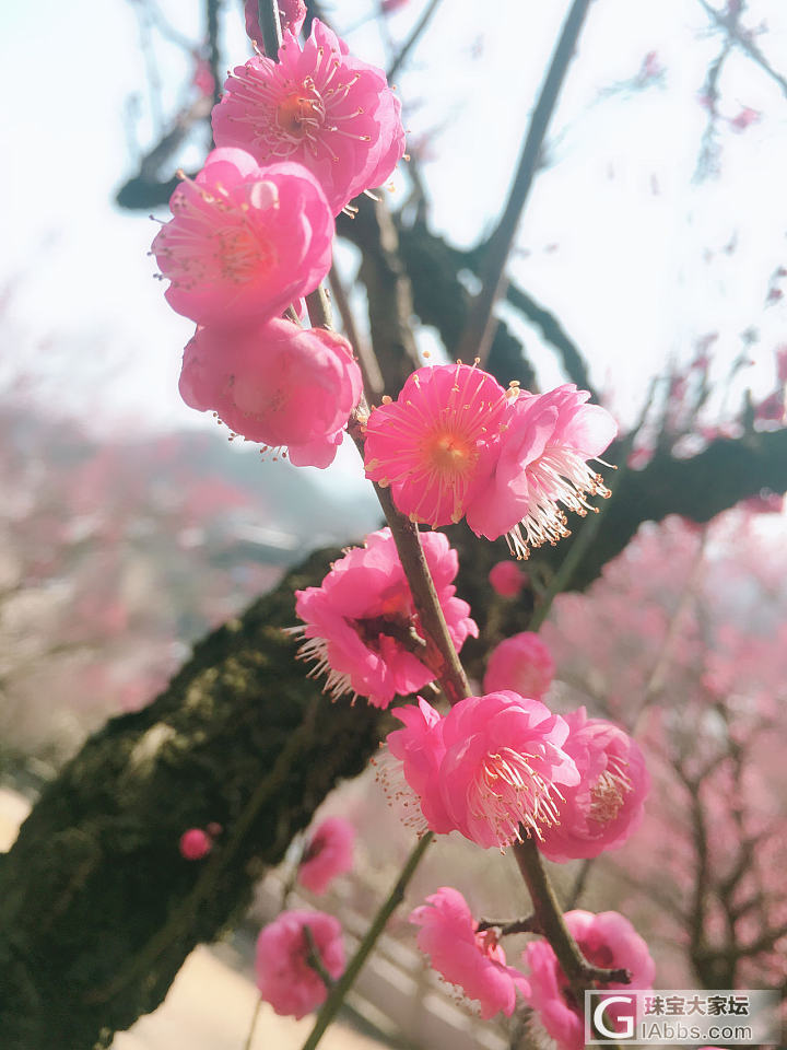 天气好好，_花