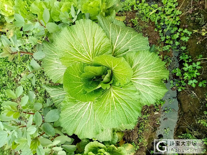 祝愿大家新年生百财_节日