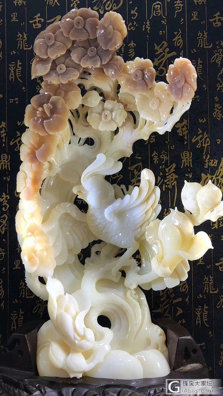 砗磲_摆件砗磲