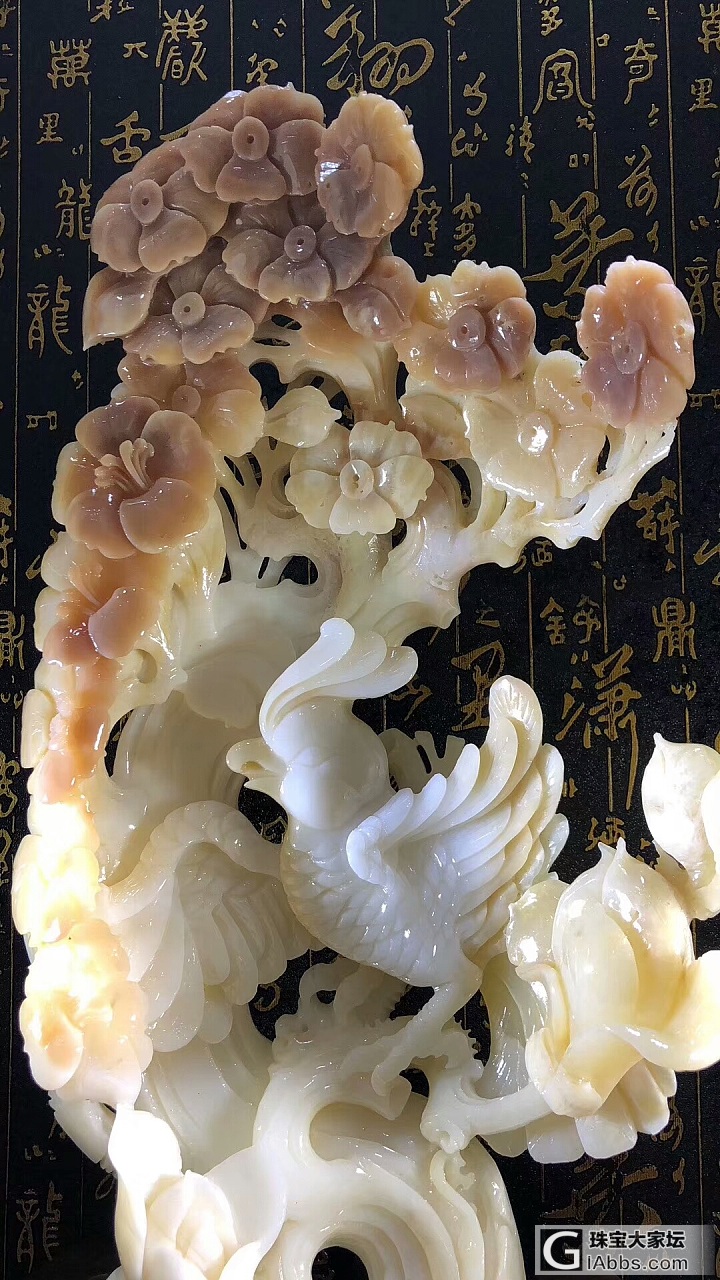 砗磲_摆件砗磲