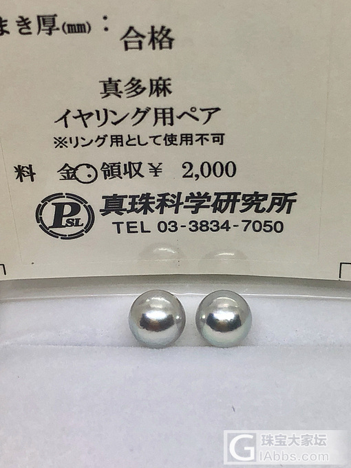 akoya真多麻8mm
真科研小卡证书📄
奶奶灰 皮光很赞[强]_海水珍珠