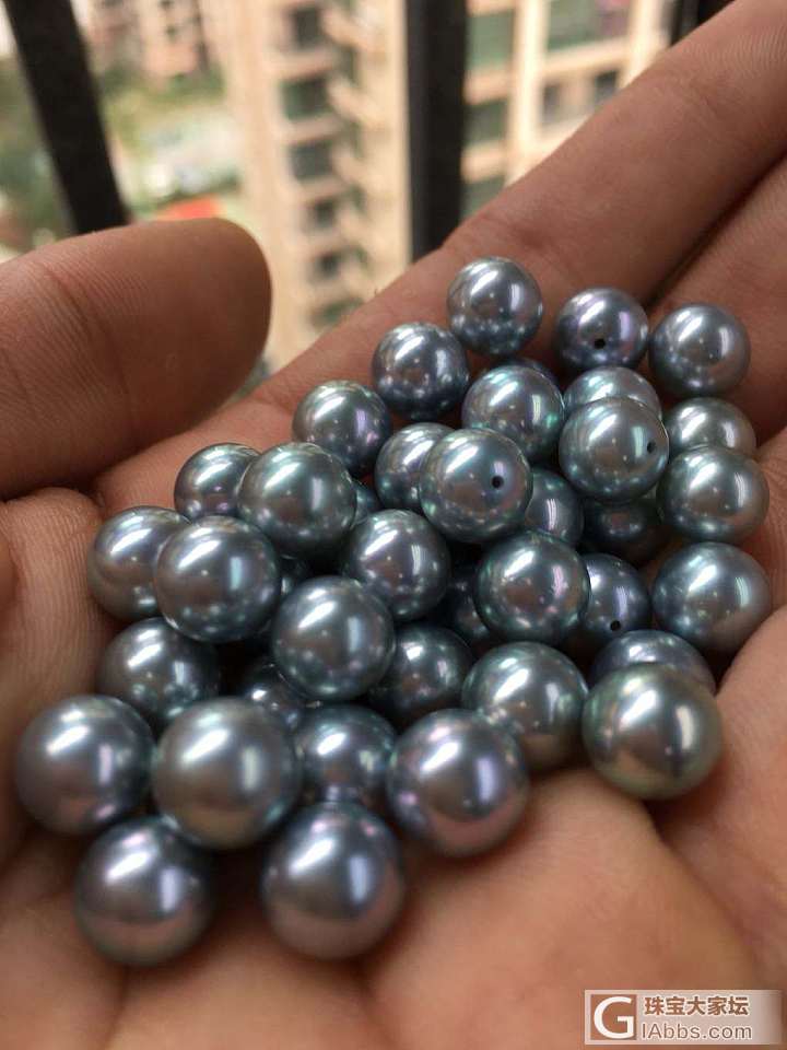 批发价哦！品质挑选_海水珍珠