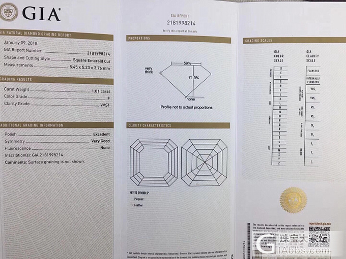 皇家切工 冰糖 1.01 FVVS1_千寻珠宝异形钻