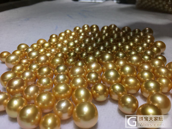 近圆特浓金10-13mm性价比超高_珍珠