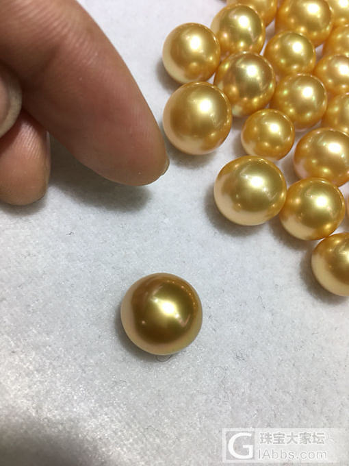 近圆特浓金10-13mm性价比超高_珍珠