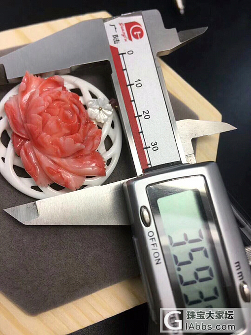 新品 🌷这颜色太美了 搭配天然碧玺 白贝壳底托  孤品 不可复制_花件贝壳珊瑚