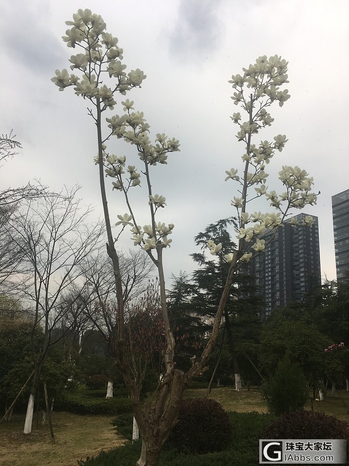 上午来嘉兴桐乡乌镇玩_旅游