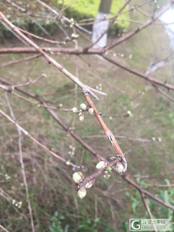 上午来嘉兴桐乡乌镇玩_旅游