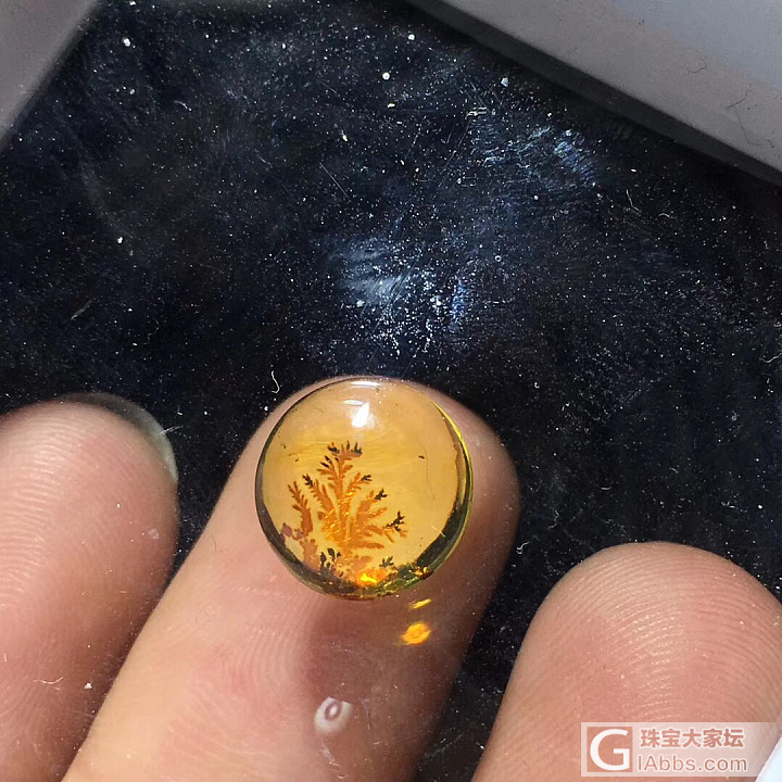 天然缅甸琥珀_蛋面植物珀