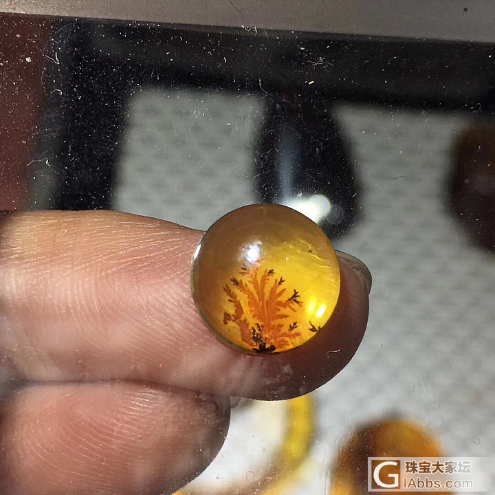 天然缅甸琥珀_蛋面植物珀