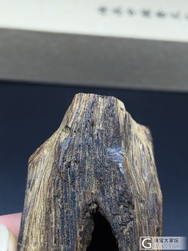 分享一块百年老料_沉香
